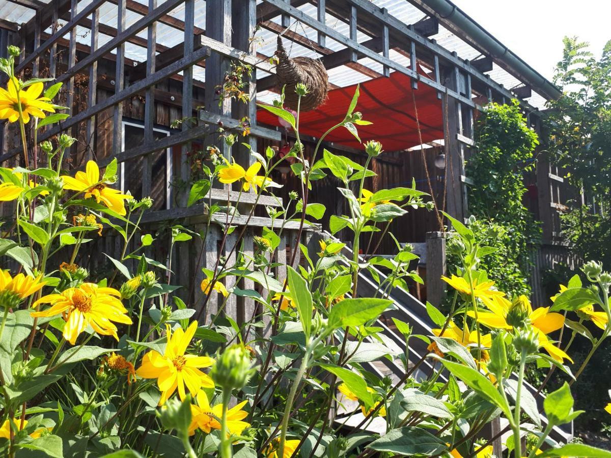 Holzhaus Mit Gruener Aussicht Zum Erholen Villa Burgheim Luaran gambar